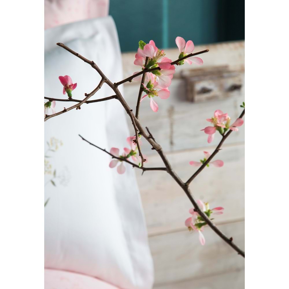 Apricitas Home Windflower Çift Kişilik Nevresim Takımı