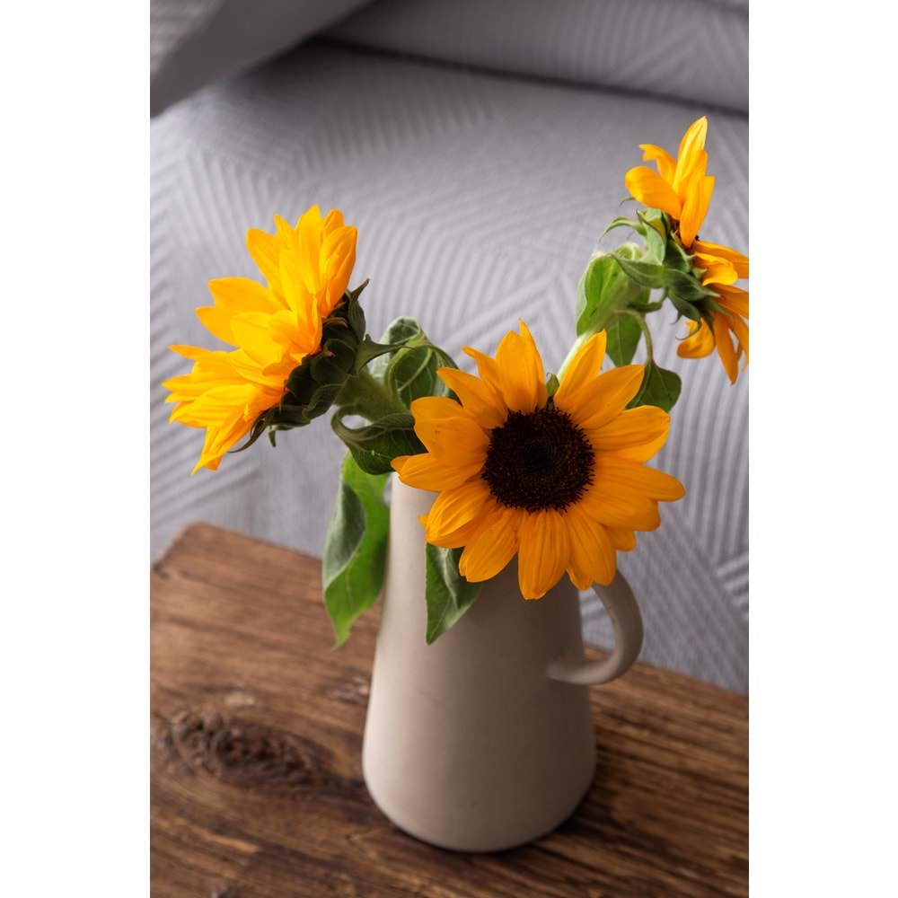 Apricitas ÇİFT KİŞİLİK YATAK ÖRTÜSÜ SET SAVOY GRI - YATAK ORTUSU SET