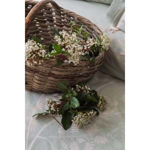 Apricitas Home Elysian Çift Kişilik %100 Pamuk Kapitoneli Nevresim Takımı