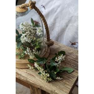Apricitas Home Elysian Bej Çift Kişilik %100 Pamuk Kapitone Nevresim Takımı