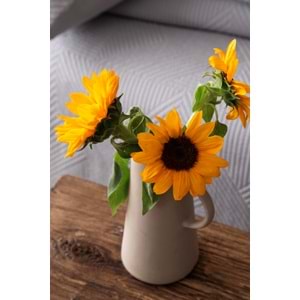 Apricitas ÇİFT KİŞİLİK YATAK ÖRTÜSÜ SET SAVOY GRI - YATAK ORTUSU SET