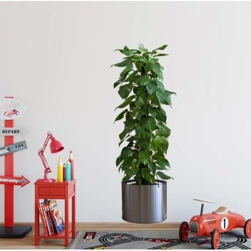 Saksılı Bitki Tasarımlı Yapışkanlı Sticker Resim 90*30 cm (5047)
