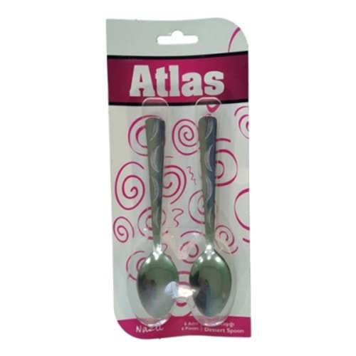 6 PARÇA METAL TATLI KAŞIK (5047)