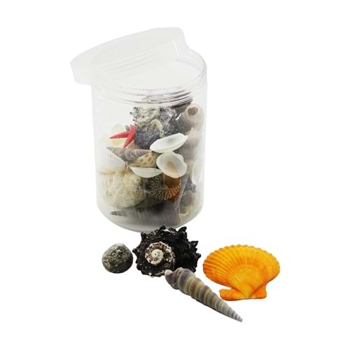 PLASTİK KAVANOZ MİDYE DENİZ KABUK VAZO TAŞI (5047)