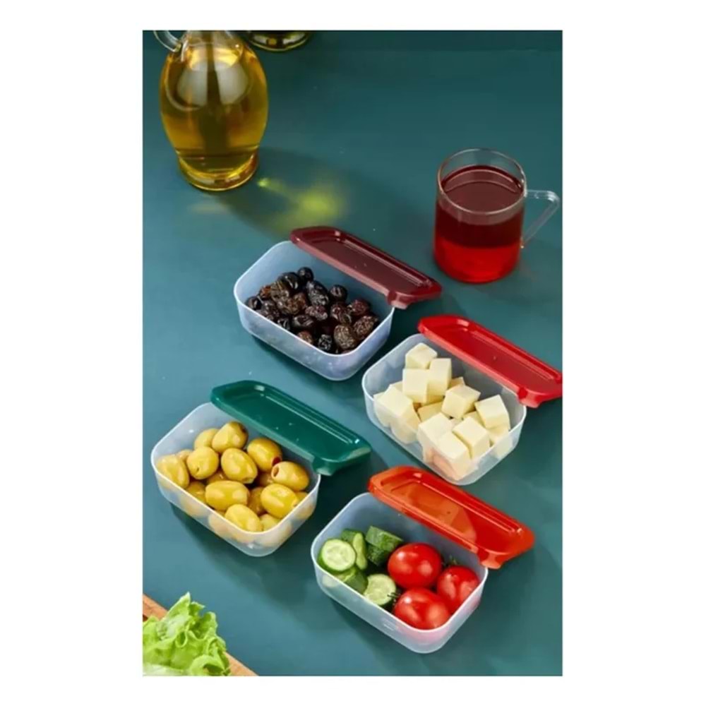 4'lü Kapaklı Saklama Kabı Çerezlik Kahvaltılık Piknik Kabı -HS-017